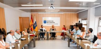 Sanidad registra un total de 74.210 intervenciones quirúrgicas en el primer semestre de 2024