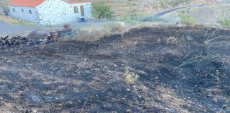 Extinguido el conato de incendio declarado esta mañana en Apartaderos, Vallehermoso