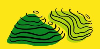 El Cabildo crea un espacio participativo para coordinar actuaciones de eliminación de la caña común en los barrancos de Hermigua y Valle Gran Rey