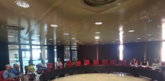 Cabildo y sector del taxi avanzan en estrategias para la mejora de esta modalidad de transporte público