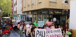 Los estudiantes gomeros se manifestarán este viernes en San Sebastián