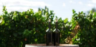 Top mejores tiendas de vinos de Canarias