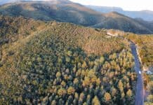 El Cabildo informa de cortes intermitentes de tráfico en la vía que une Juego de Bolas con La Laguna Grande