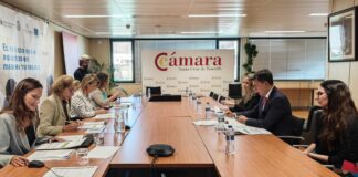 La Cámara de Comercio contribuye a la creación de más de 22.000 nuevas empresas desde el año 2000