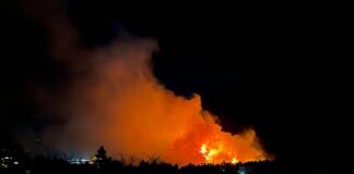 Logran perimetrar el conato de incendio forestal de El Paso