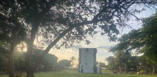 El PSOE traslada al pleno municipal su preocupación por el “deplorable estado” del parque de la Torre del Conde