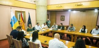 María Fernández traslada a cabildos y a ayuntamientos las gestiones con el Estado para agilizar los pagos de las subvenciones al transporte de viajeros