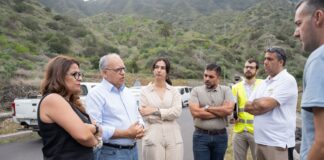 El Cabildo inicia los trabajos de eliminación de la caña común en los barrancos de Hermigua y Valle Gran Rey