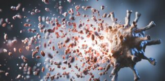 Decenas de muertos en la República Democrática del Congo por una enfermedad desconocida