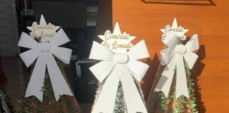 Empresarios y comerciantes de La Lomada de San Sebastián de La Gomera decoran sus establecimientos con árboles navideños