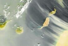 Calima y altas temperaturas en Canarias este lunes