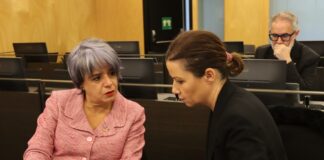 Esther Rodríguez defiende en el Congreso una iniciativa relativa a la Regulación y Control de la accesibilidad de las personas con discapacidad