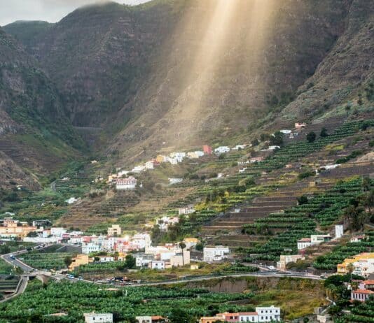 El PP de La Gomera valora positivamente el acuerdo para mejorar el cultivo de platanera con riego de alta eficiencia en Hermigua