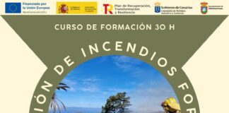 Vallehermoso impulsa la creación de grupos de intervención ante incendios