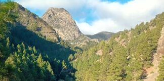 La Gomera recibe el primer viaje de prensa del año y refuerza su estrategia de promoción en medios