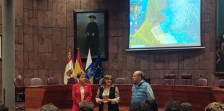 Estudiantes de La Gomera participan en una jornada colaborativa en torno a los consejos escolares