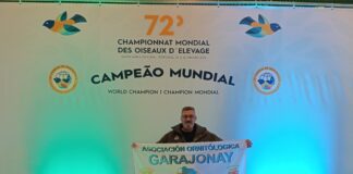 Éxito de la Asociación Ornitológica Garajonay en el Mundial 2025