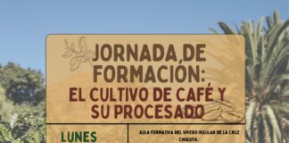 El Cabildo de La Gomera organiza una jornada formativa sobre el cultivo del café y su procesado