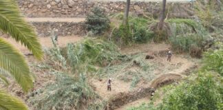 El Cabildo avanza en los trabajos de eliminación de material combustible en los barrancos del Ingenio y Macayo