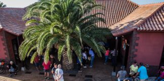 El Centro de Interpretación de la Miel de Palma se consolida como dinamizador local con más de 5 mil visitantes