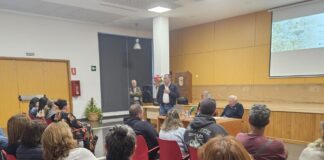 El Drago de Agalán en Alajeró un ejemplo de supervivencia