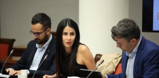 ASG defiende que la ley de ordenación de las viviendas vacacionales respete la realidad de cada una de las islas