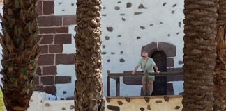 El PSOE urge a ASG a encontrar una solución para ofrecer una atención digna a los visitantes y turistas que llegan a La Gomera