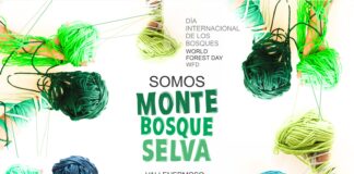 Vallehermoso celebra el World Forest Day para concienciar sobre la conservación de los bosques