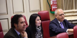 Vivienda, comercio electrónico y energías renovables, objetivos de ASG en el próximo pleno