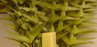 Agulo acoge un ‘Taller Artesanal de Domingo de Ramos’ con la artesana María Dolores Padrón Herrera