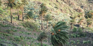 Lunes con fuertes vientos y temperaturas hasta 34 grados