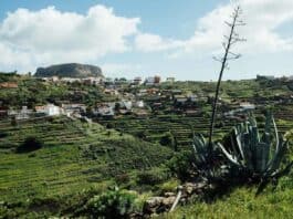 El Ayuntamiento de Vallehermoso licita por más de 505.000 euros la construcción de una depuradora de aguas residuales en Temocodá