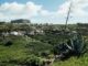 El Ayuntamiento de Vallehermoso licita por más de 505.000 euros la construcción de una depuradora de aguas residuales en Temocodá
