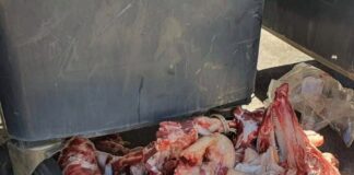 El Ayuntamiento de San Sebastián solicita colaboración ciudadana para localizar a los responsables