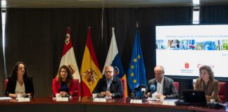 La creación de pymes, los buenos datos de empleo y la inversión impulsan la economía de La Gomera en 2024