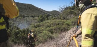 El Cabildo refuerza la concienciación ciudadana para la prevención de incendios y control de especies invasoras