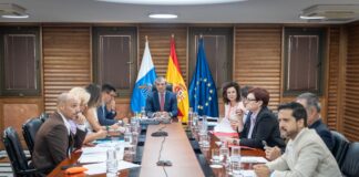 El Gobierno respalda la inversión de la RIC en inmuebles situados en Canarias y destinados al alquiler