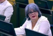 Esther Rodríguez pide a CC y PP que apliquen el nuevo decreto nacional de Dependencia para sacar a  Canarias del colapso