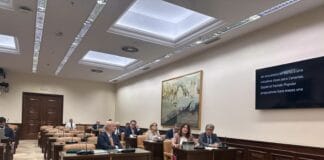 Jimena Delgado afea al PSOE su “incoherencia” y celebra que la RIC se destine a vivienda en Canarias