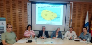 El Área de Salud de La Gomera analiza en el CIRPAC la situación de los servicios de salud mental de la isla
