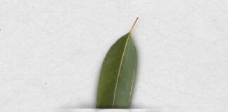 Arón Morales pregonará las Fiestas Lustrales de Vallehermoso ‘con los cinco sentidos’