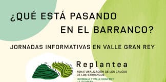 Valle Gran Rey acoge este viernes una jornada informativa sobre la renaturalización de los barrancos
