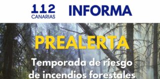 El Gobierno de Canarias activa la Campaña contra incendios forestales 2025 con más de 2.000 efectivos