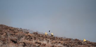 El Cabildo aplica medidas preventivas ante la alerta por riesgo de incendios forestales