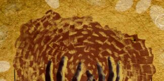 Vallehermoso acoge la Feria Insular de Artesanía y Gastronomía de La Gomera con motivo de las Fiestas Lustrales