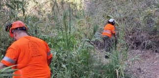 El Cabildo impulsa la conservación del sendero El Guro – Salto del Agua en Valle Gran Rey