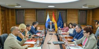 El Gobierno destina 17 millones al servicio de ayuda a domicilio especializado en Fuerteventura, Lanzarote, La Gomera y Tenerife