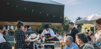 De la Vid al Progreso: El Impacto de los Festivales Gastronómicos en Salta