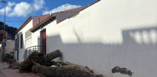 El PSOE exige al Ayuntamiento de San Sebastián que recupere los servicios públicos