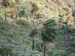 Vientos fuertes en Canarias este domingo